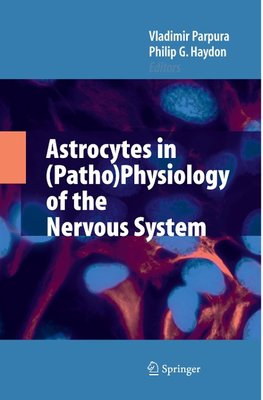 Astrocytes in (Patho)Physiology of the Nervous System