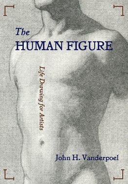 The Human Figure