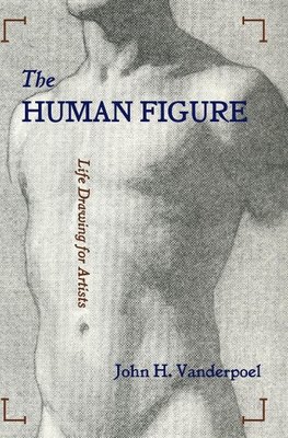 The Human Figure