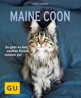 Maine Coon