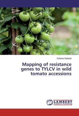 Mapping of resistance genes to TYLCV in wild tomato accessions