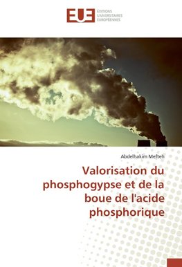 Valorisation du phosphogypse et de la boue de l'acide phosphorique