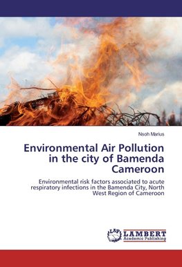 Environmental Air Pollution in the city of Bamenda Cameroon