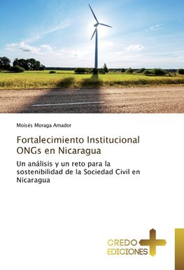 Fortalecimiento Institucional ONGs en Nicaragua