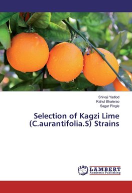 Selection of Kagzi Lime (C.aurantifolia.S) Strains