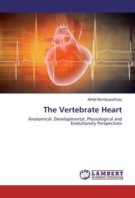 The Vertebrate Heart