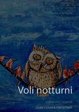 Voli notturni