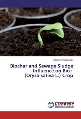 Biochar and Sewage Sludge Influence on Rice (Oryza sativa L.) Crop