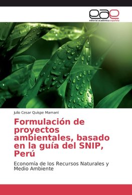 Formulación de proyectos ambientales, basado en la guía del SNIP, Perú