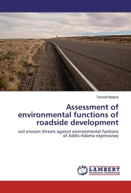 Assessment of environmental functions of roadside development