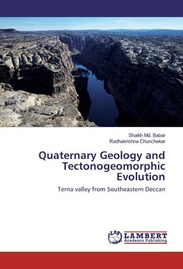 Quaternary Geology and Tectonogeomorphic Evolution