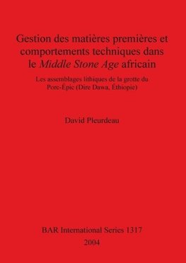 Gestion des matières premières et comportements techniques dans le Middle Stone Age africain