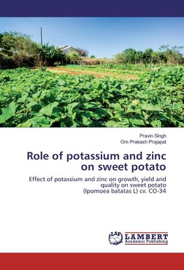 Role of potassium and zinc on sweet potato