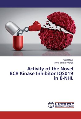 Activity of the Novel BCR Kinase Inhibitor IQS019 in B-NHL