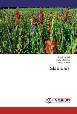 Gladiolus