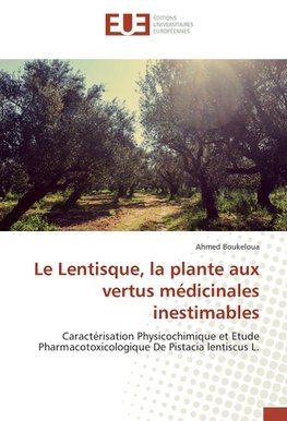 Le Lentisque, la plante aux vertus médicinales inestimables