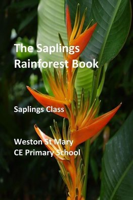 The Saplings Rainforest Book