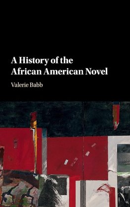 A History of the African American Novel