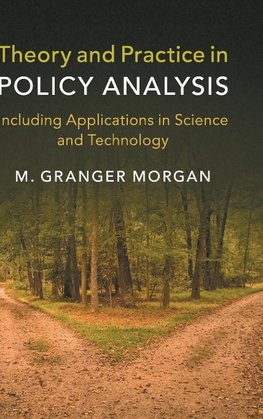 Theory and Practice in Policy Analysis