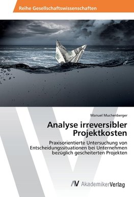 Analyse irreversibler Projektkosten