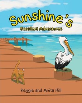 Sunshine's Excellent Adventures