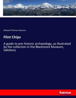 Flint Chips