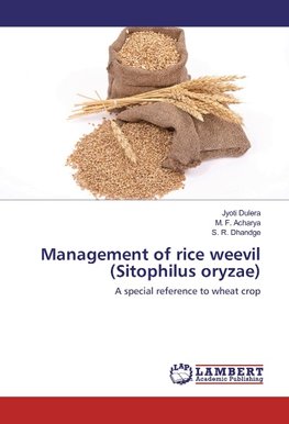 Management of rice weevil (Sitophilus oryzae)