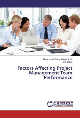 Factors Affecting Project Management Team Performance