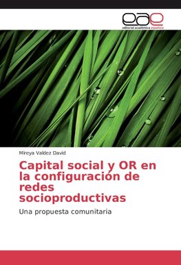 Capital social y OR en la configuración de redes socioproductivas