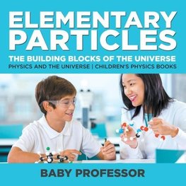 Elementary Particles