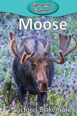 Blakemore, V: Moose