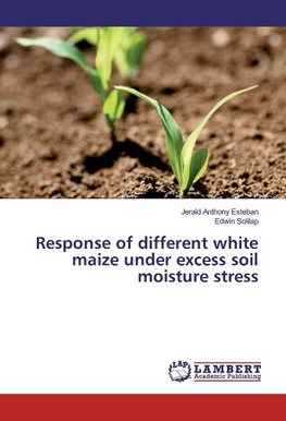 Response of different white maize under excess soil moisture stress