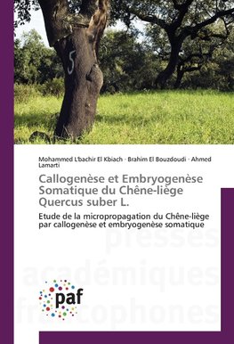 Callogenèse et Embryogenèse Somatique du Chêne-liège Quercus suber L.