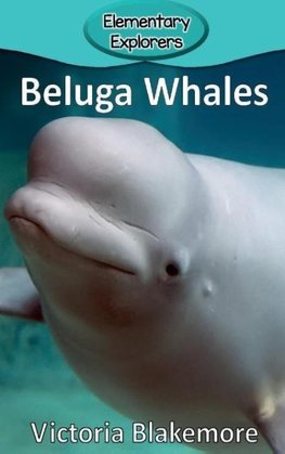 Beluga Whales