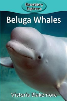 Beluga Whales