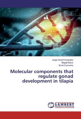 Molecular components that regulate gonad development in tilapia