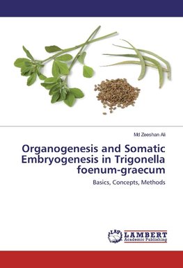 Organogenesis and Somatic Embryogenesis in Trigonella foenum-graecum