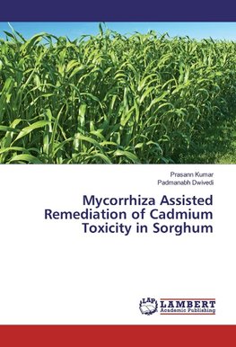 Mycorrhiza Assisted Remediation of Cadmium Toxicity in Sorghum