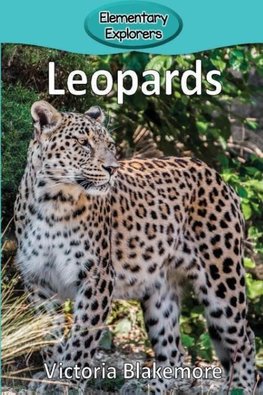 Leopards