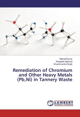 Remediation of Chromium and Other Heavy Metals (Pb,Ni) in Tannery Waste