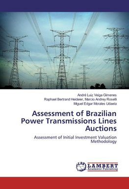 Assessment of Brazilian Power Transmissions Lines Auctions