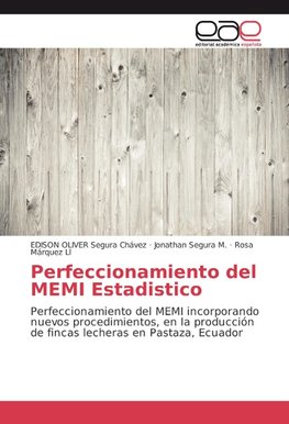 Perfeccionamiento del MEMI Estadistico