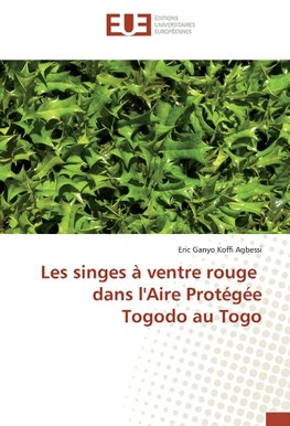 Les singes à ventre rouge dans l'Aire Protégée Togodo au Togo