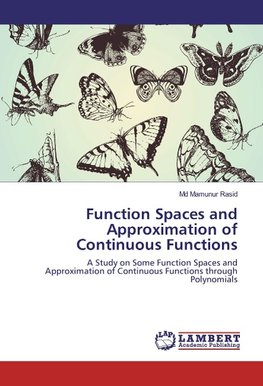 Function Spaces and Approximation of Continuous Functions