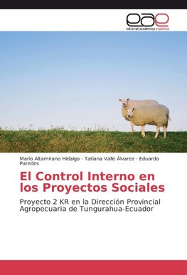 El Control Interno en los Proyectos Sociales