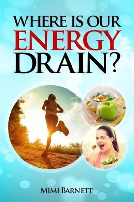 Where is our Energy Drain? (English Edition)