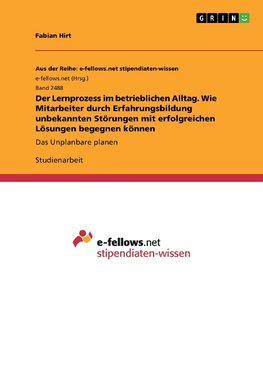 Der Lernprozess im betrieblichen Alltag. Wie Mitarbeiter durch Erfahrungsbildung unbekannten Störungen mit erfolgreichen Lösungen begegnen können