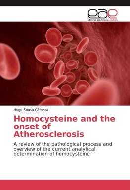 Homocysteine and the onset of Atherosclerosis