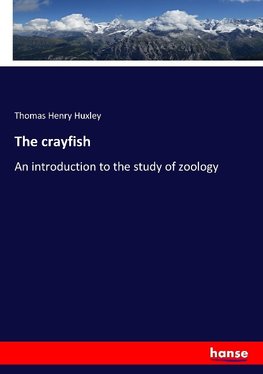 The crayfish