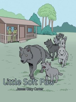 Little Soft Paw